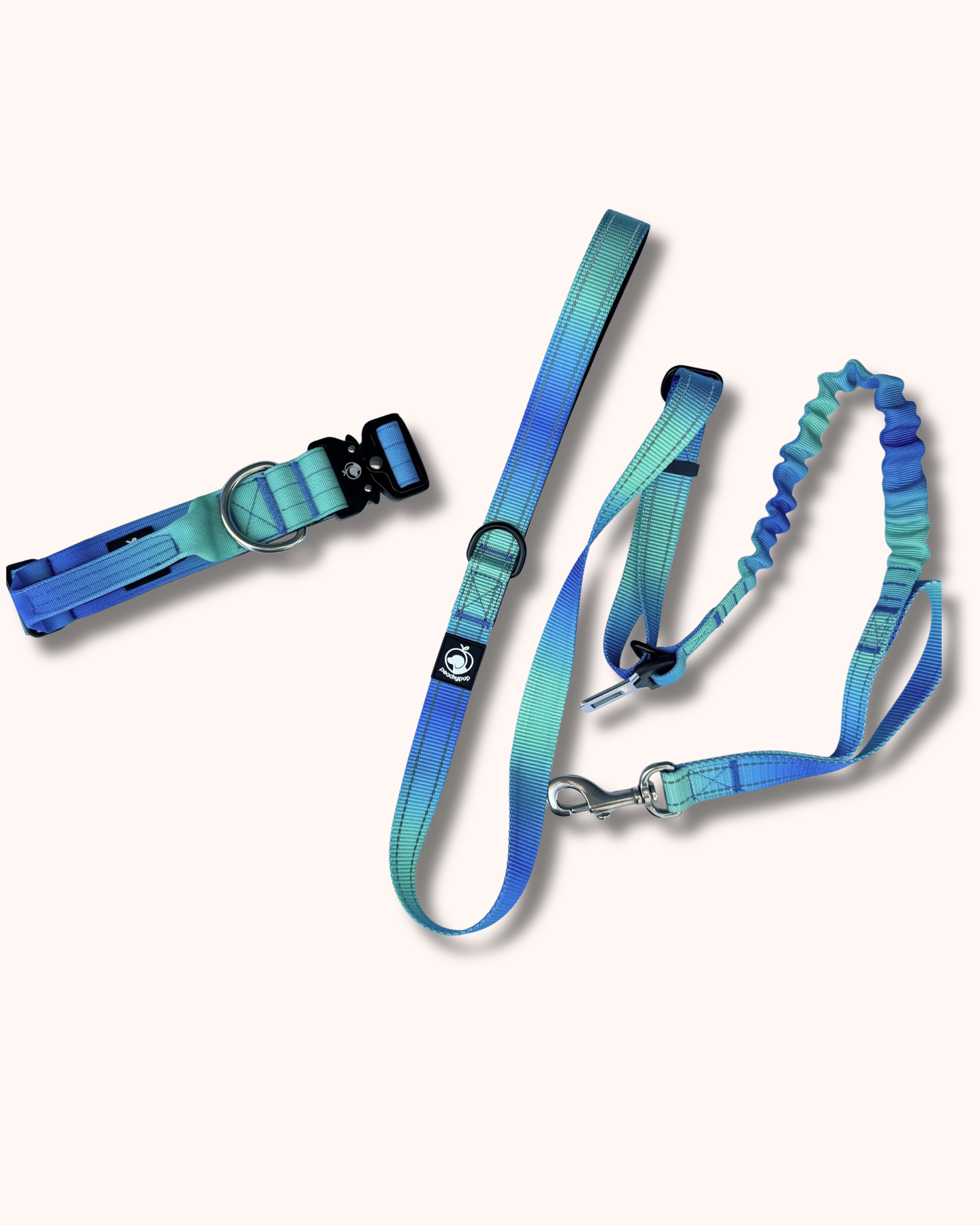 Tactical Collar & Leash Set