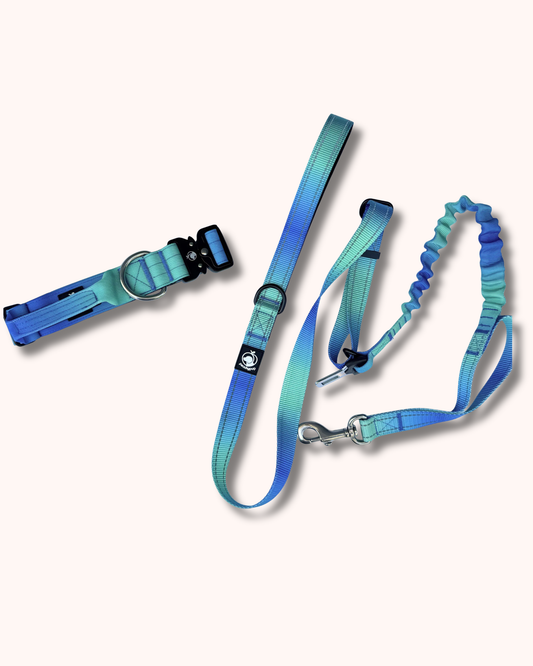 Tactical Collar & Leash Set - Deep Sea