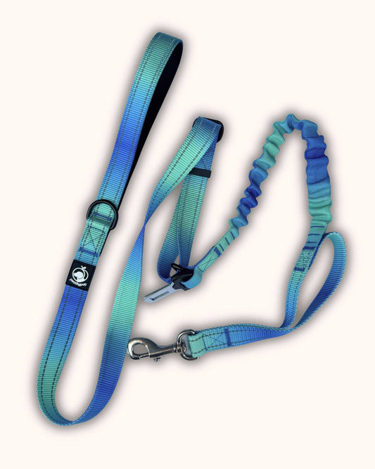 Tactical Leash