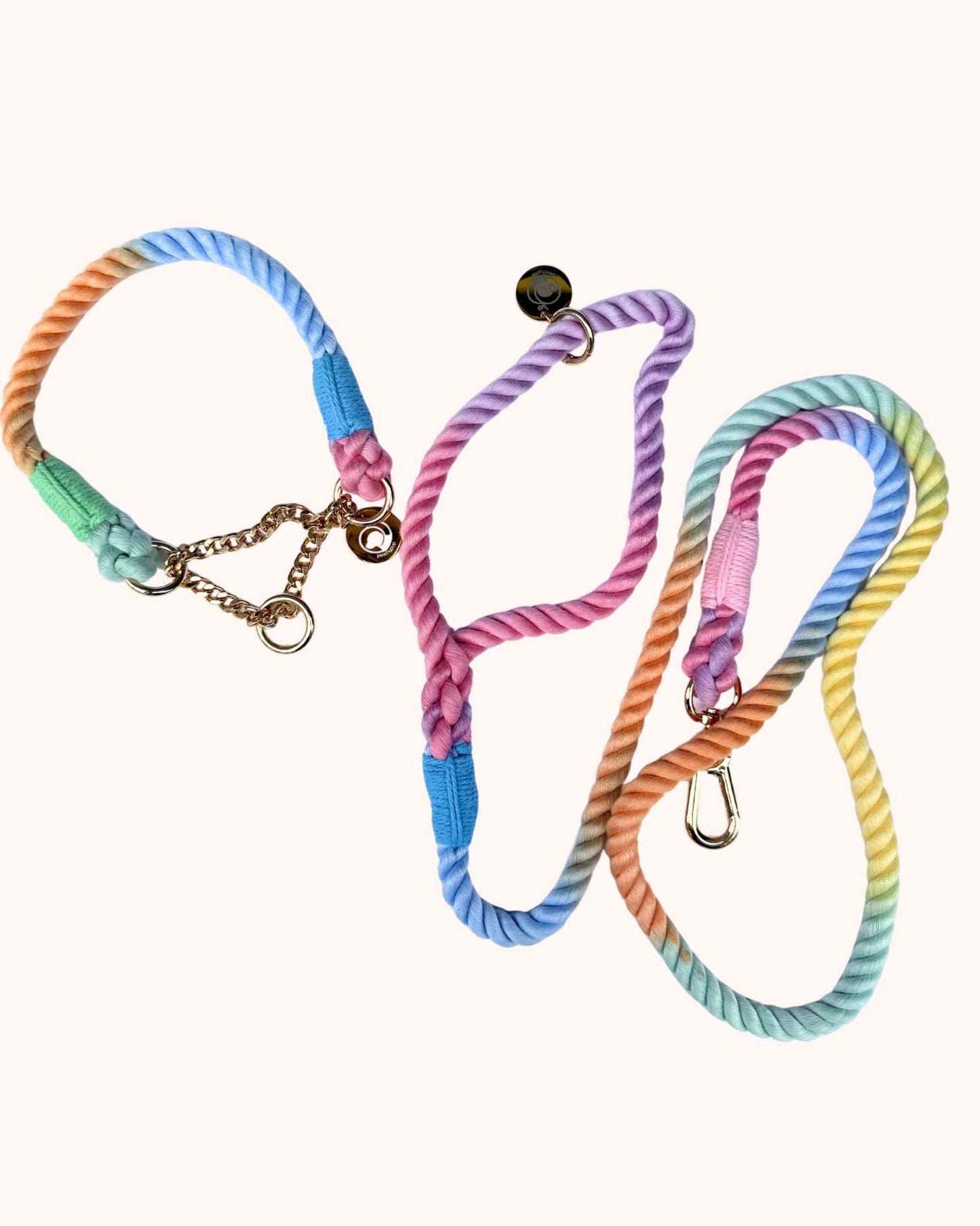 Rope Collar & Leash Set