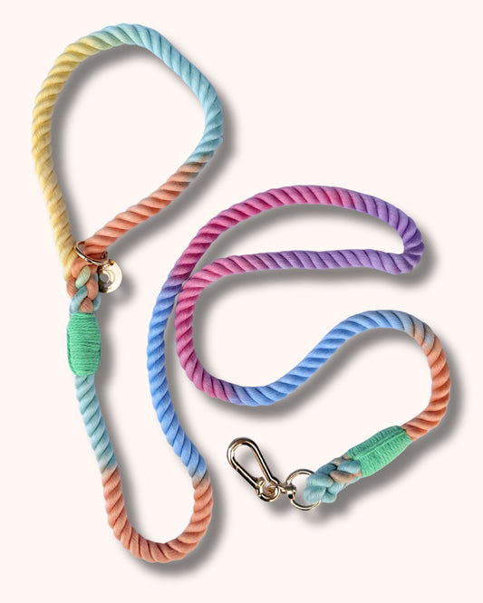 Rope Leash - Multicolor Yellow Green