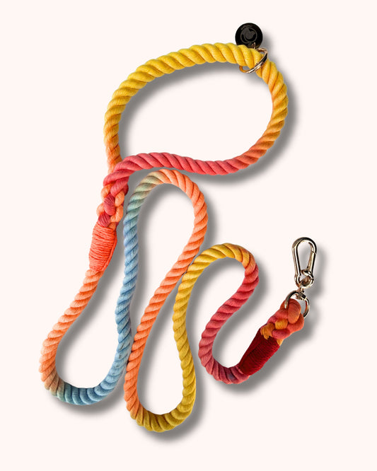 Rope Leash - Multicolor Yellow Red