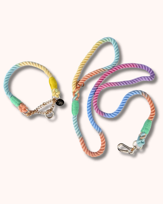 Rope Collar & Leash Set - Multicolor Yellow Green