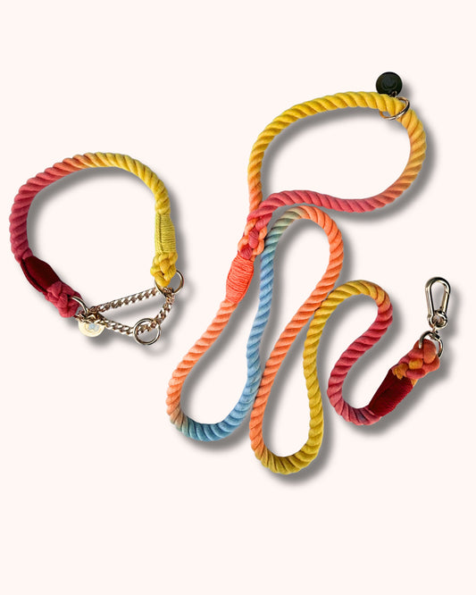 Rope Collar & Leash Set - Multicolor Yellow Red